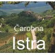Čarobna Istra - monografija 